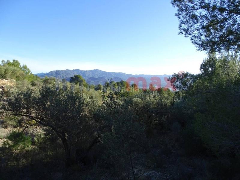 Foto ea3c8d51-e378-4e24-83bc-87bbec4e6bee. Wohngrundstück in Xerta