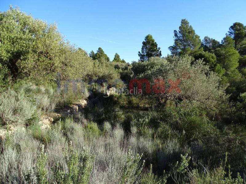 Foto f96281ce-2b0b-444f-aad4-25ac8766cb72. Wohngrundstück in Xerta