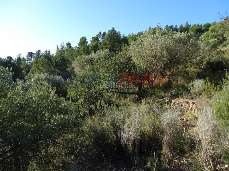 Foto fbbcb206-a43c-4a29-9b19-dbe66747ac33. Wohngrundstück in Xerta