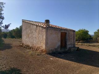 Residential Plot in Xerta. Finca en venta en la población de xerta de 20.986 m2 de terreno