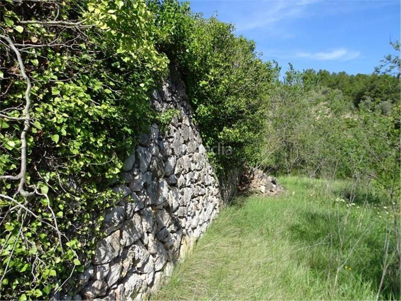 Foto 00981813-8a09-467e-805b-f36b9a902e5a. Wohngrundstück in Paüls