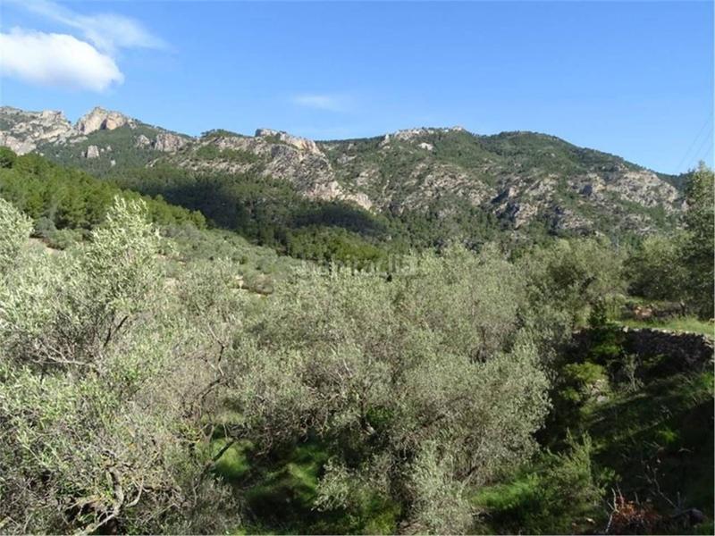 Foto 14520528-00be-4ccc-b842-42c9bc825e42. Wohngrundstück in Paüls