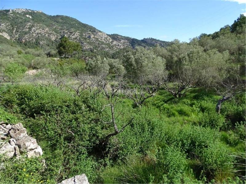 Foto 16d9040f-de38-4757-b0b5-2bde5999998d. Wohngrundstück in Paüls