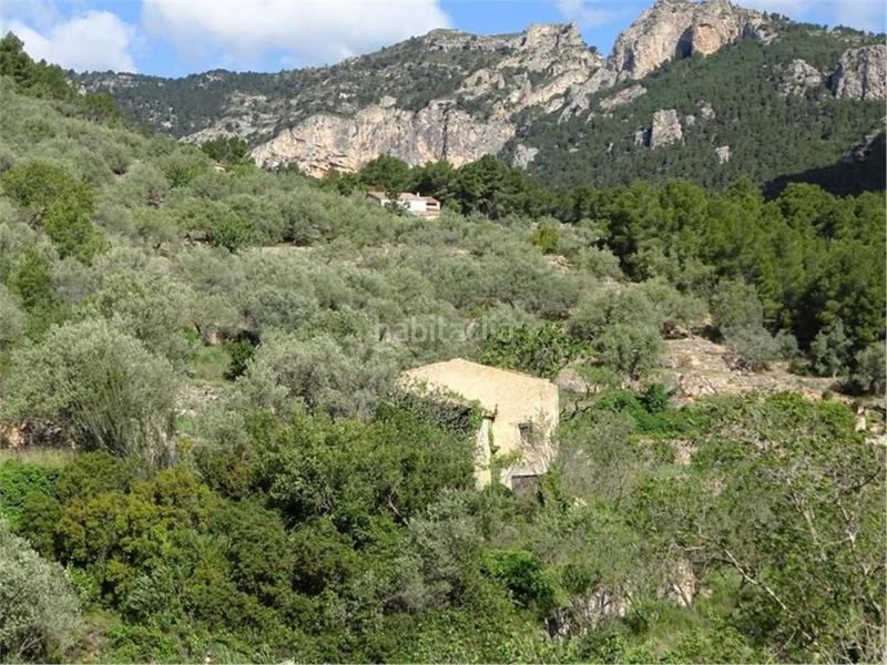 Foto 16db8e92-1476-48f0-976e-a7809d3de2e9. Wohngrundstück in Paüls