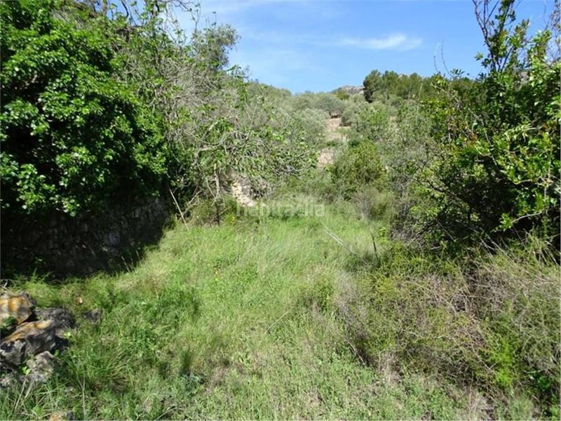 Foto 1c2e5cd6-77bb-4e42-8d0c-894d24c41f2e. Wohngrundstück in Paüls