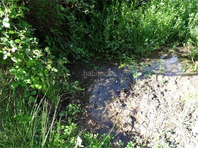 Foto 29fd4610-43a2-475f-9fa8-83dadab17f00. Wohngrundstück in Paüls