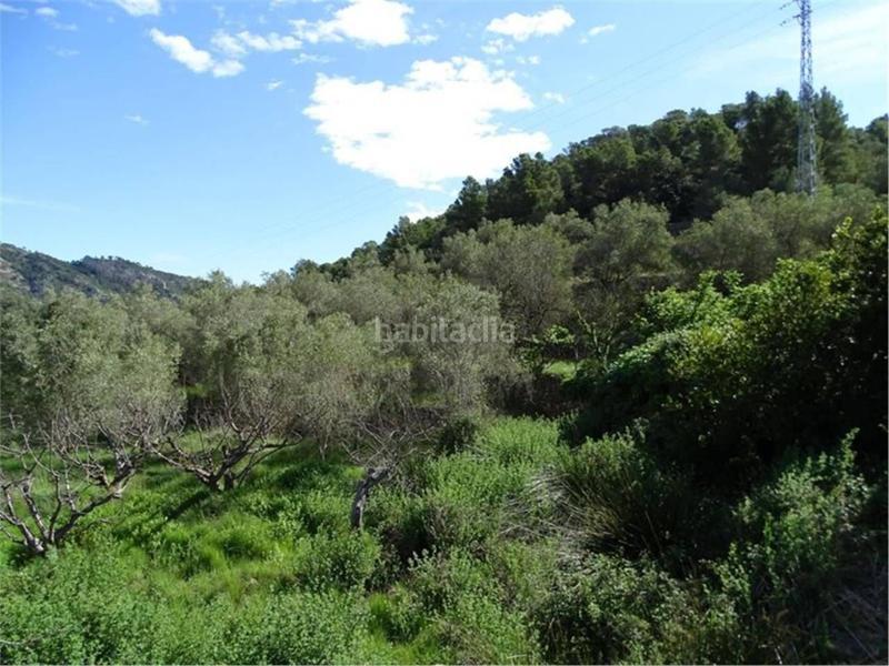 Foto 2f7919ad-e7b5-4408-9f6b-e996bd3a782e. Wohngrundstück in Paüls