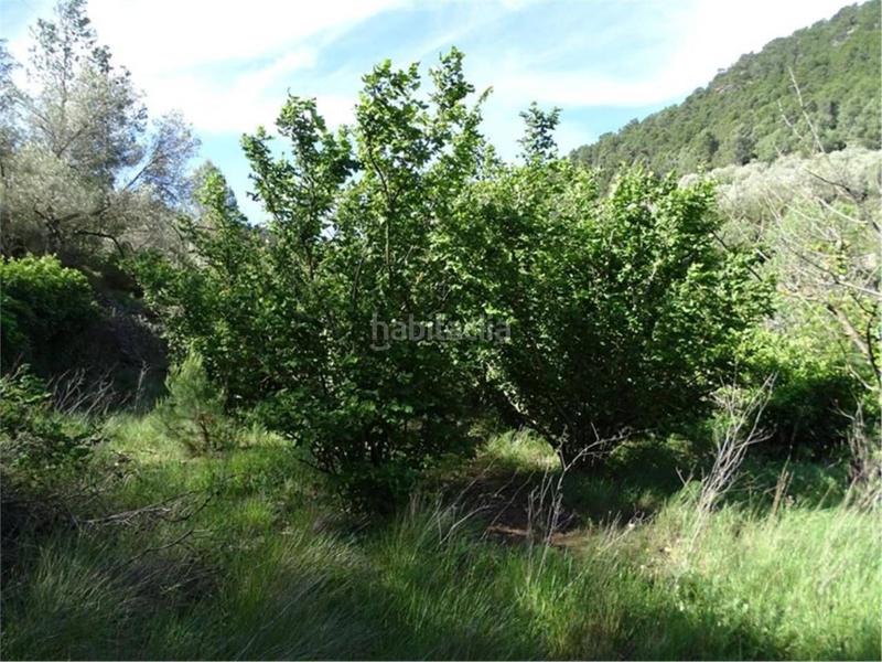 Foto 37955dc6-6bac-46b2-ac50-414d00eace7b. Wohngrundstück in Paüls