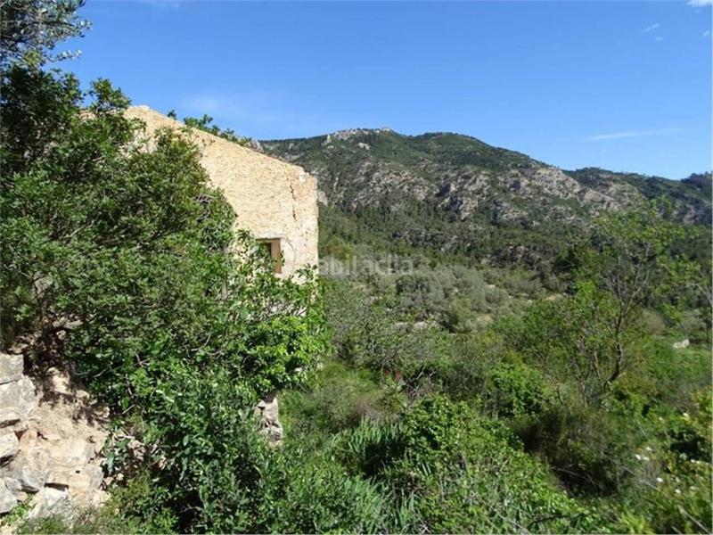 Foto 3c0b0ad6-62d7-4ed7-b049-2df74d96a976. Wohngrundstück in Paüls