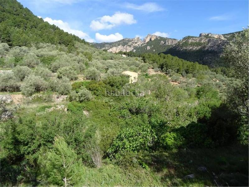 Foto 674a3210-2207-4bd7-9075-6c9bbeda0789. Wohngrundstück in Paüls