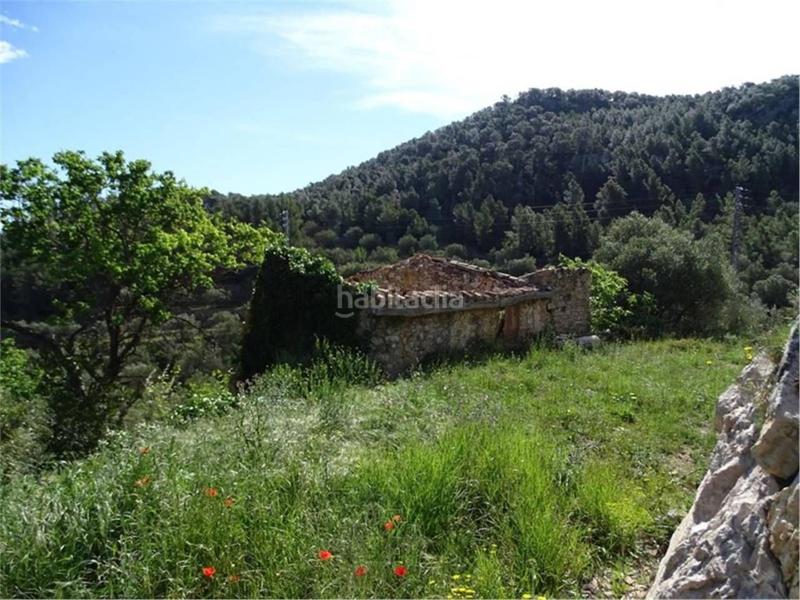 Foto 6eb8cc84-4c50-42a3-8b54-0be0d42137ce. Wohngrundstück in Paüls