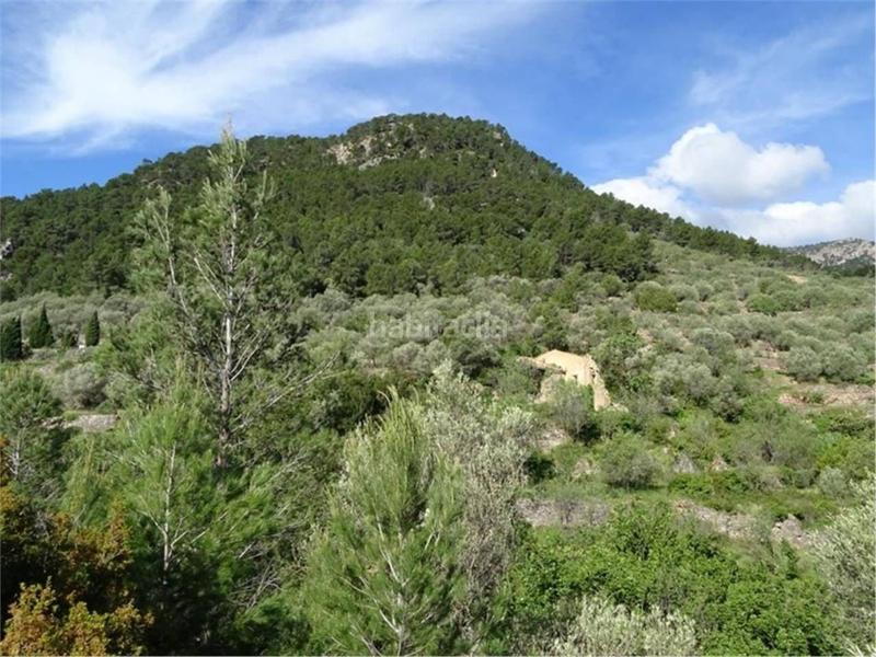 Foto 71ab1c7e-1306-4467-b020-c15620df644d. Wohngrundstück in Paüls