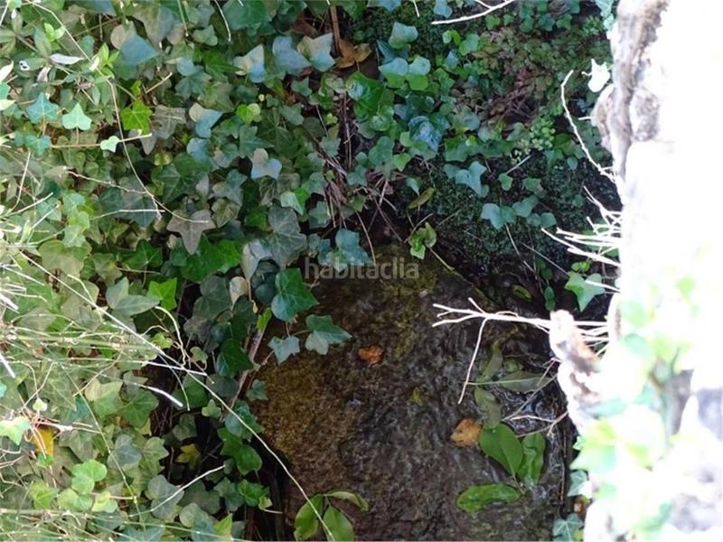 Foto 9d9a16a9-5c04-4622-9bc5-2743f52a2257. Wohngrundstück in Paüls