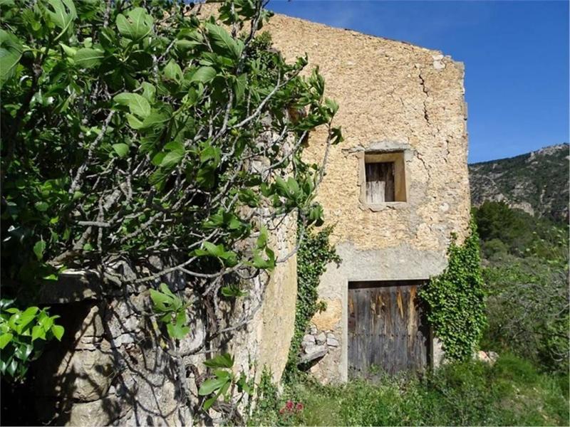 Foto a54e5a79-9782-4c09-b63e-7c63fe9f65c0. Wohngrundstück in Paüls