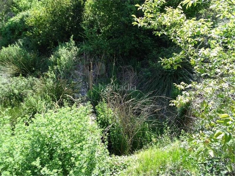 Foto a8b74f16-04f9-47e0-acee-c72e800cbeb5. Wohngrundstück in Paüls