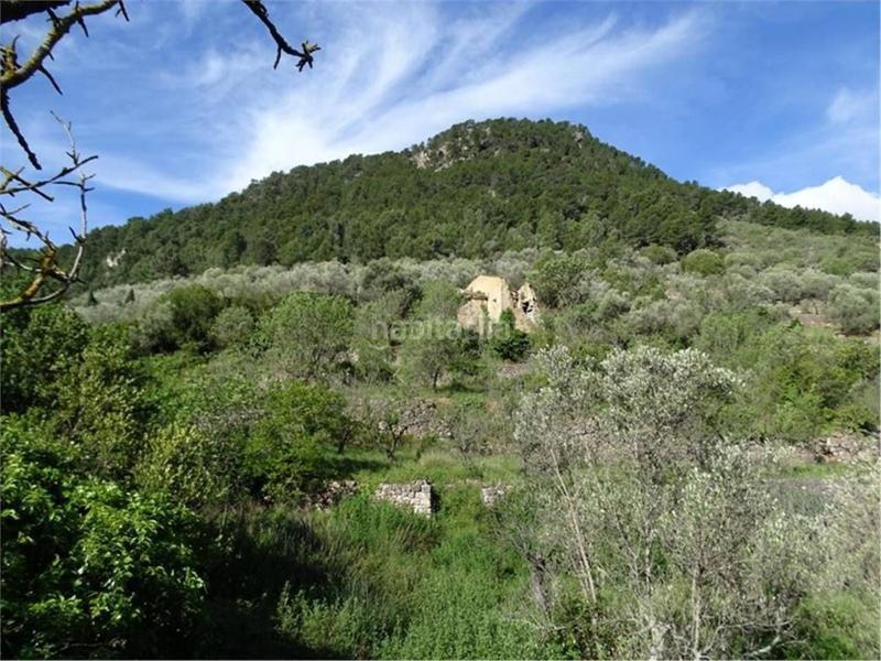 Foto c1021611-1d2c-4345-b3e1-e40342cff692. Wohngrundstück in Paüls