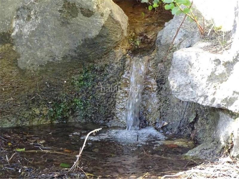 Foto d79c3bde-5f0f-4148-a737-1375d83271bd. Wohngrundstück in Paüls