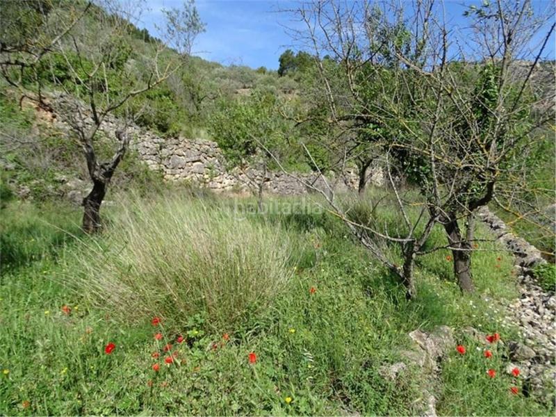 Foto ef5642b8-96a2-4cf4-86f7-a16729723ec8. Wohngrundstück in Paüls