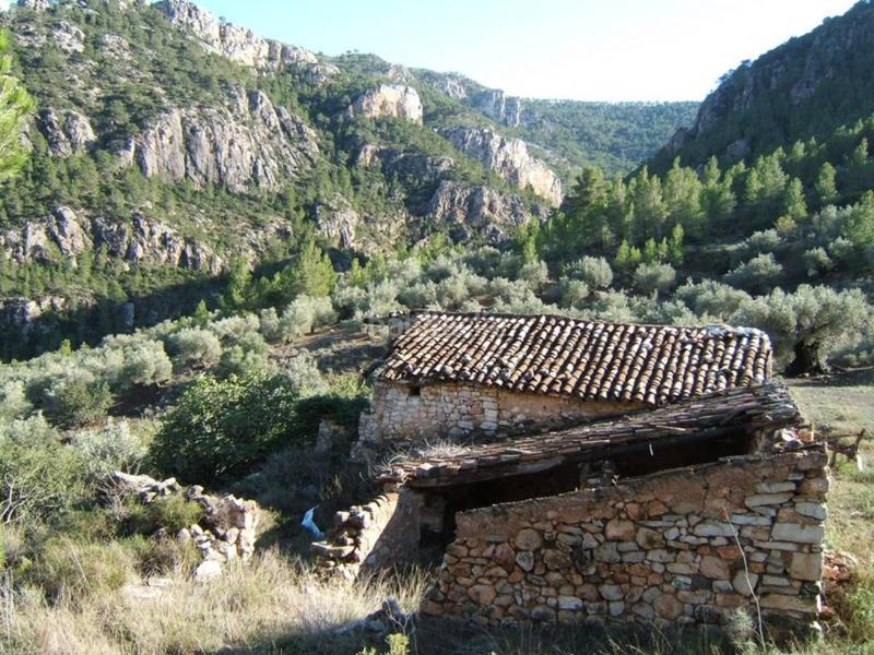 Foto 132d8caa-9e35-4651-9c93-f8674bf4a595. Wohngrundstück in Paüls