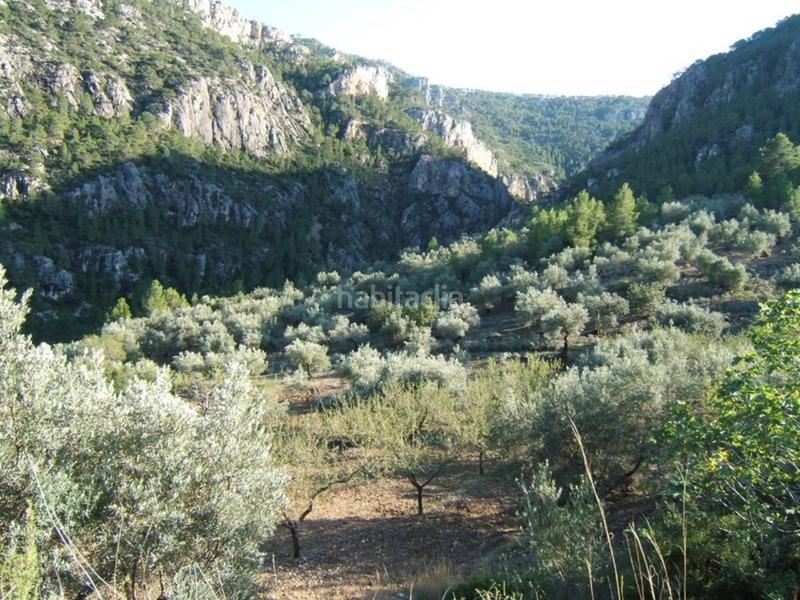 Foto 13acf5cc-ffd4-4d2e-b510-cfd7f852e2bc. Wohngrundstück in Paüls