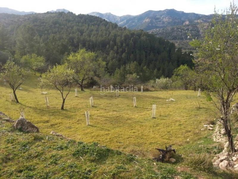 Foto 2ec4d748-5397-46f8-b0e7-a4e0254fa57d. Wohngrundstück in Paüls