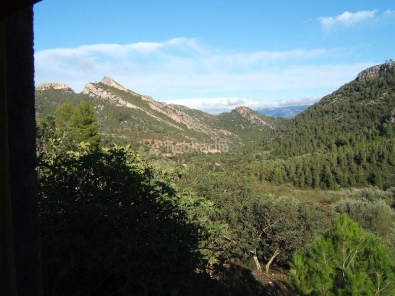 Foto 4552741c-4bb7-41e6-86ad-5b75b117d9fe. Wohngrundstück in Paüls