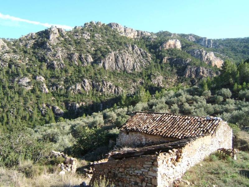 Foto 5392881d-2da1-44f5-acca-5b0618793c9c. Wohngrundstück in Paüls