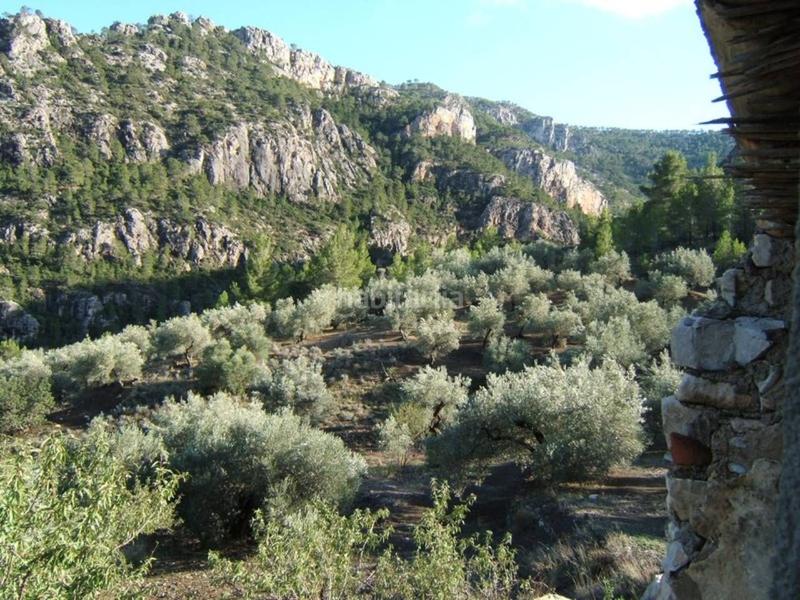 Foto 58a515df-f94c-457b-a63e-672df14c3123. Wohngrundstück in Paüls