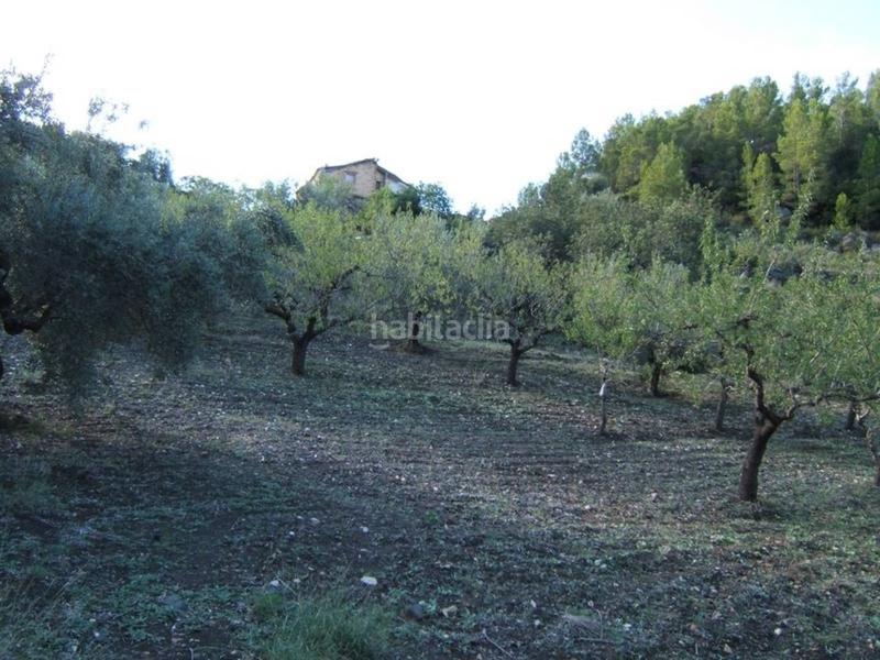 Foto 5d610988-4a67-4079-806e-4edae93ad788. Wohngrundstück in Paüls