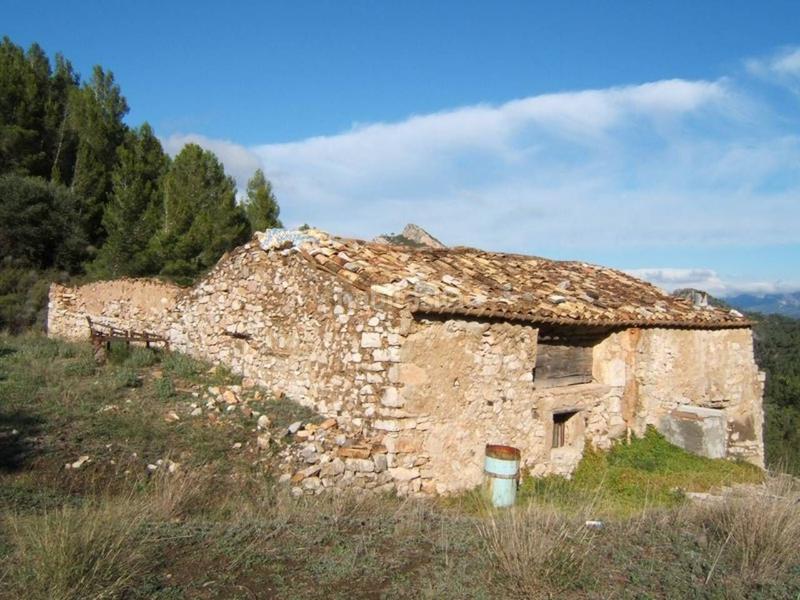 Foto 6d96b17d-0636-4080-b336-1cfa8a7f63d4. Wohngrundstück in Paüls