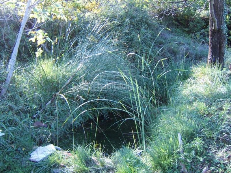 Foto 71610ab4-f61b-4ee9-9c78-654cd17541d2. Wohngrundstück in Paüls