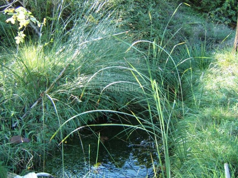 Foto 7bfbc281-fbc9-4263-b0cf-10ae2af8ff10. Wohngrundstück in Paüls