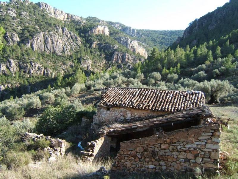 Foto b535722f-a402-4eab-bb82-fc94e55106ec. Wohngrundstück in Paüls