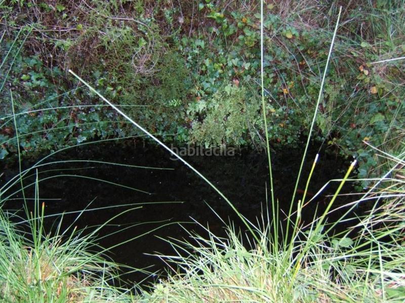 Foto e4034627-9558-4c89-9df6-3c6078f8a3b9. Wohngrundstück in Paüls