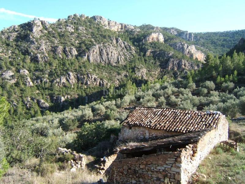 Foto f8930fa5-6aa8-49e1-b4af-211ba9d5c19e. Wohngrundstück in Paüls