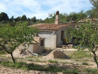 Terreny residencial  Calle remulla. Xerta, finca rustica en venta