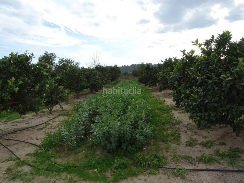 Foto 529f7ba5-5414-4f57-982a-8418e25a569c. Terreno residenziale in Ferreries Tortosa