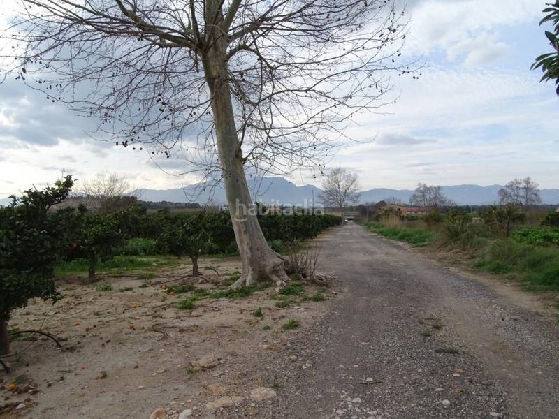 Foto 6e1251c5-cbf6-4089-8a53-16a610610be1. Terreno residenziale in Ferreries Tortosa