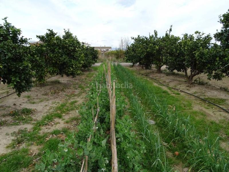 Foto c2f9e06a-ce01-4112-8f8c-d431182d936a. Terreno residenziale in Ferreries Tortosa