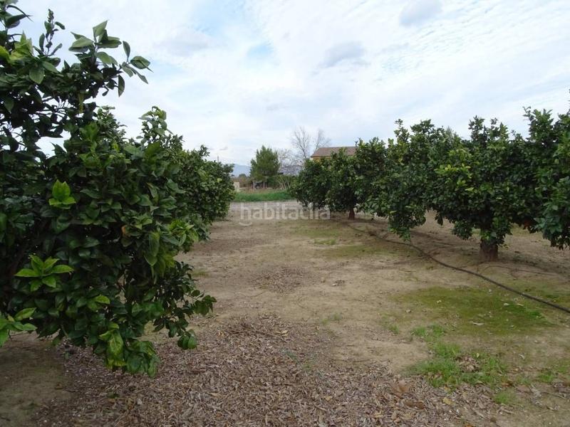 Foto c92115a6-d46b-4271-b9c1-2c90bf84c35d. Terreno residenziale in Ferreries Tortosa