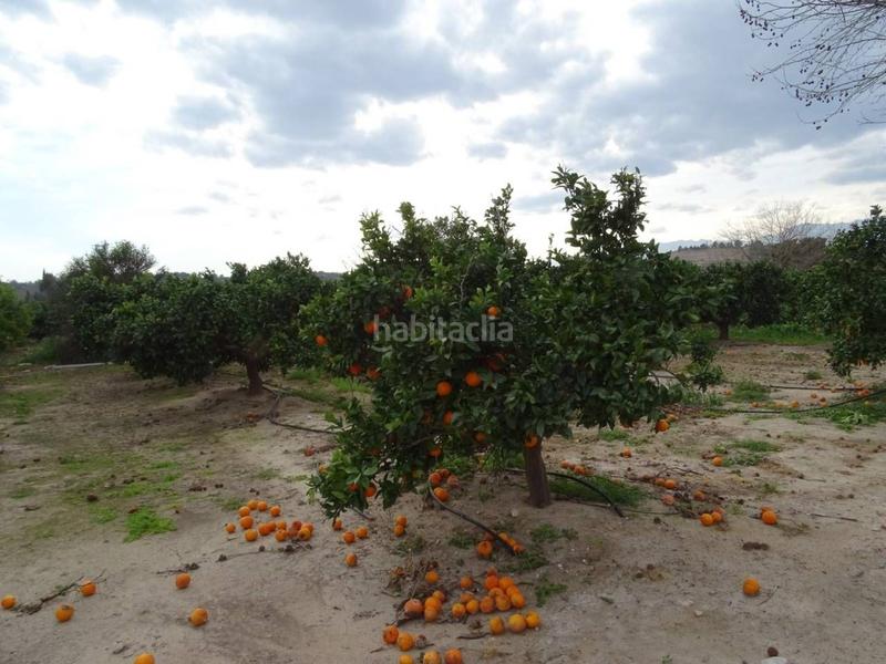 Foto ed2d87b4-5104-4849-a328-48e84bc4a849. Terreno residenziale in Ferreries Tortosa