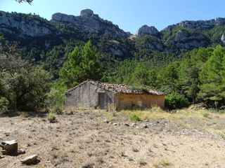 Terreny residencial en Valls 9. Finca con agua de fuente en venta en paüls
