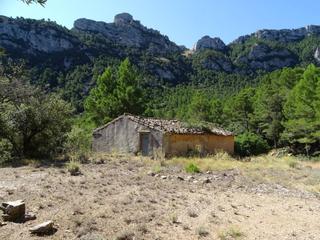 Terreny residencial a Carrer de les escoles 9. Finca con agua de fuente en venta en paüls