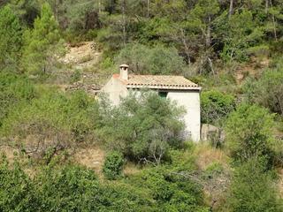 Terreny residencial  Carrer de les escoles. Finca en venta en la población de paüls de superficie total 23.1
