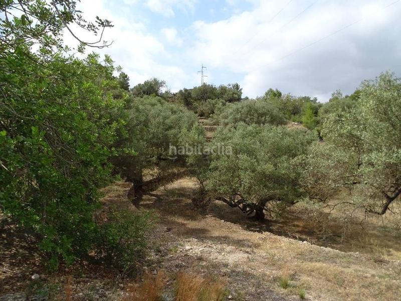 Foto 198d54de-77eb-40b2-a045-f8d2e50c8acd. Terreny residencial a Remolins - Sant Jaume Tortosa
