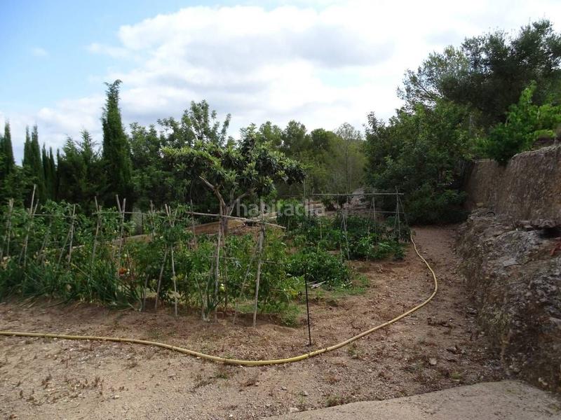 Foto 361c7773-8d96-4cb4-b4eb-4ef6eb4a7577. Terreny residencial a Remolins - Sant Jaume Tortosa