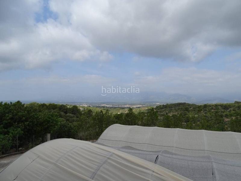 Foto 8df68101-e0c5-44bf-8053-3cea2f5fdc6c. Terreny residencial a Remolins - Sant Jaume Tortosa