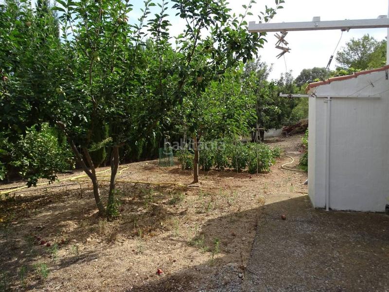 Foto c6506af5-3f45-47e7-b632-31ff73080767. Terreny residencial a Remolins - Sant Jaume Tortosa