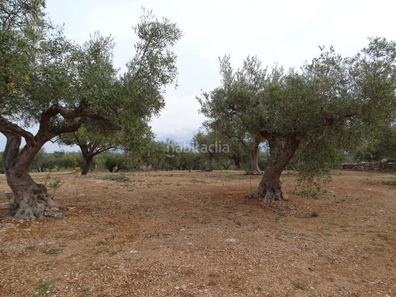 Foto 25ef0188-00f6-4d88-b3cb-ce35e2debb40. Wohngrundstück in Xerta