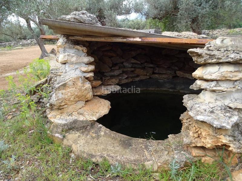 Foto 70ec3937-e426-4673-b8be-50184371c2e5. Wohngrundstück in Xerta